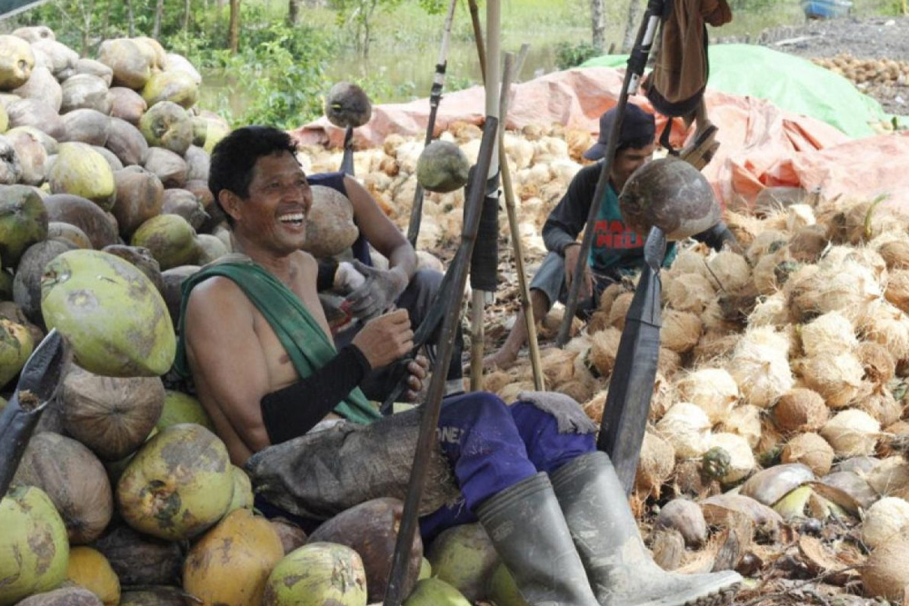 daging kelapa Yogyakarta